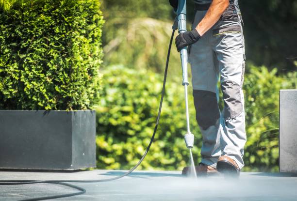 Best Solar Panel Cleaning  in Clearwater, FL