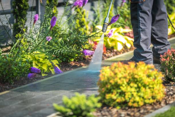 Best Sidewalk and Walkway Cleaning  in Clearwater, FL